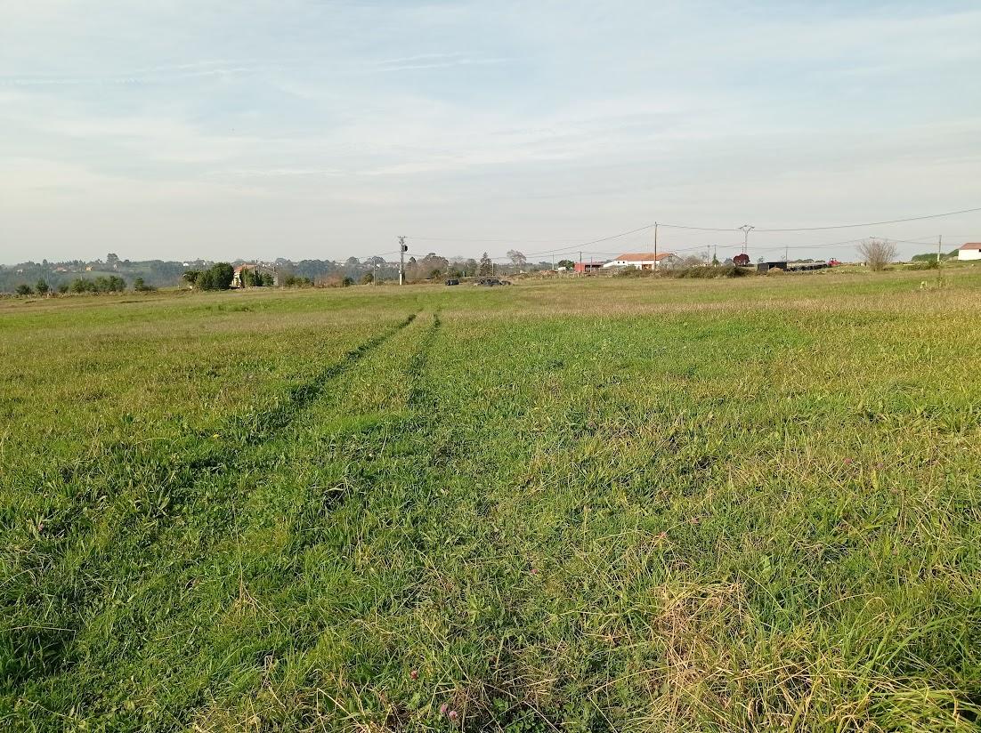 For sale of rural property in Colunga Concejo