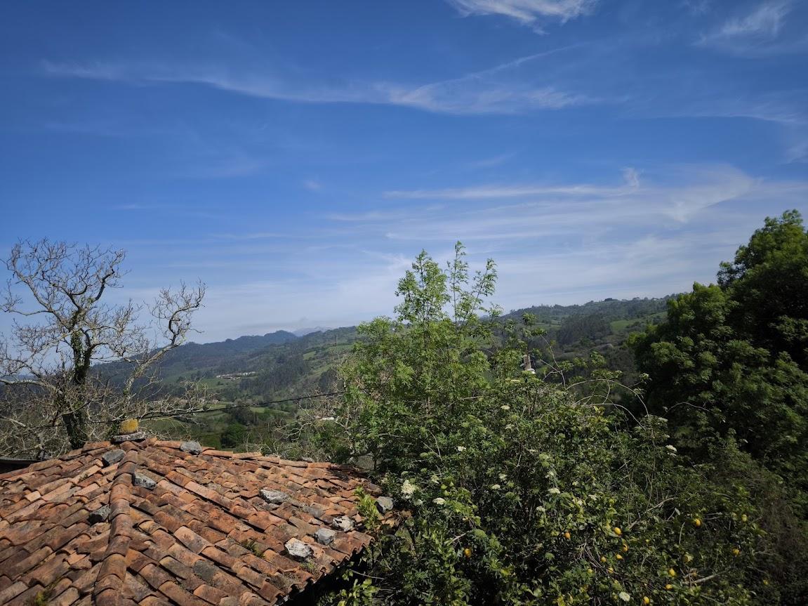 For sale of house in Villaviciosa