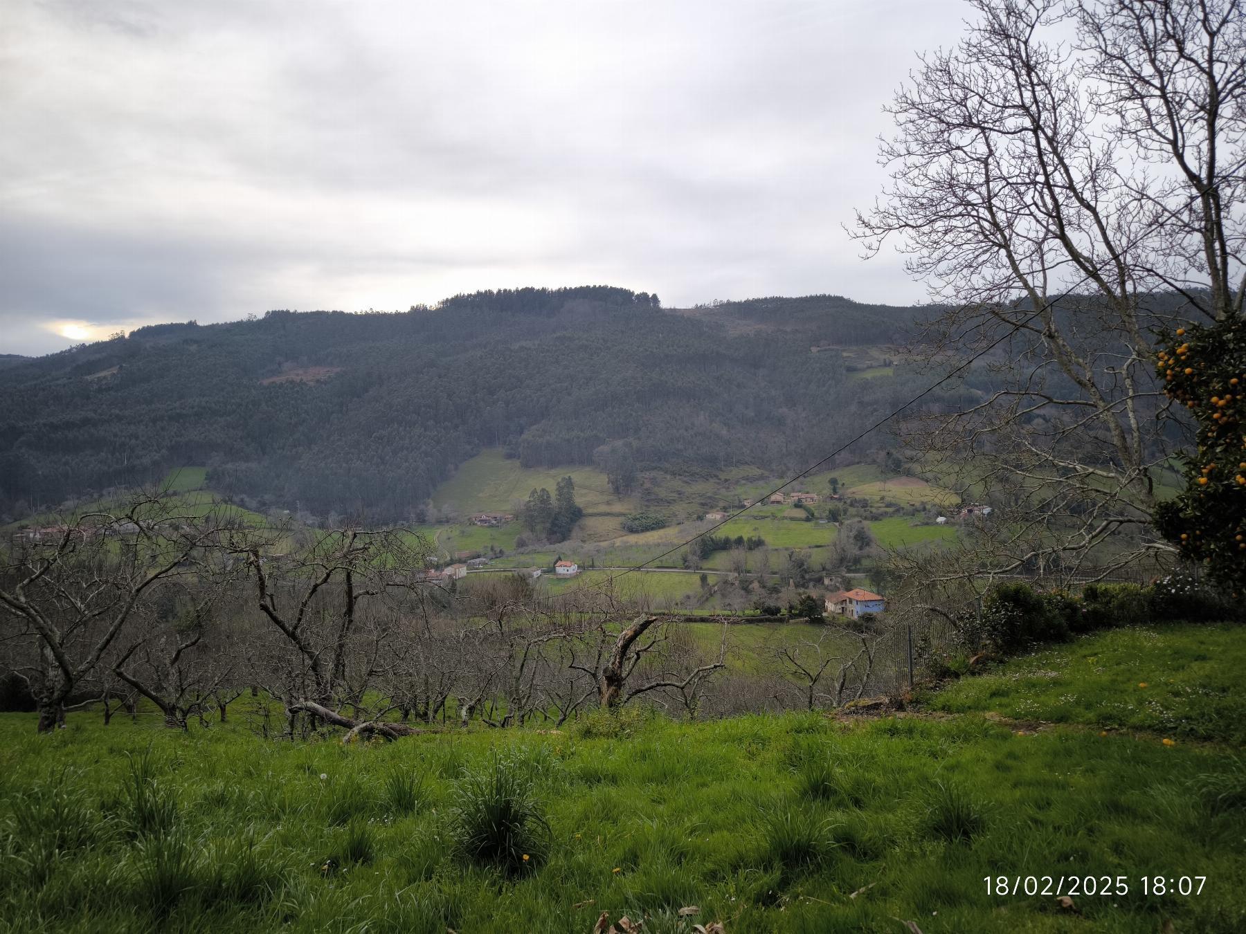 For sale of house in Villaviciosa