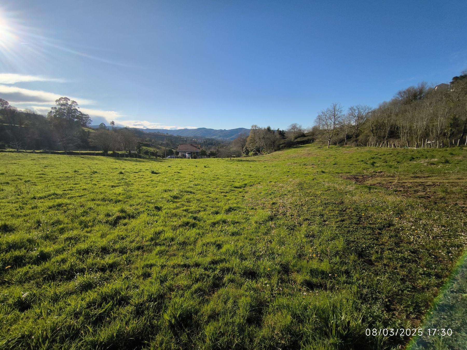 Venta de terreno en Villaviciosa