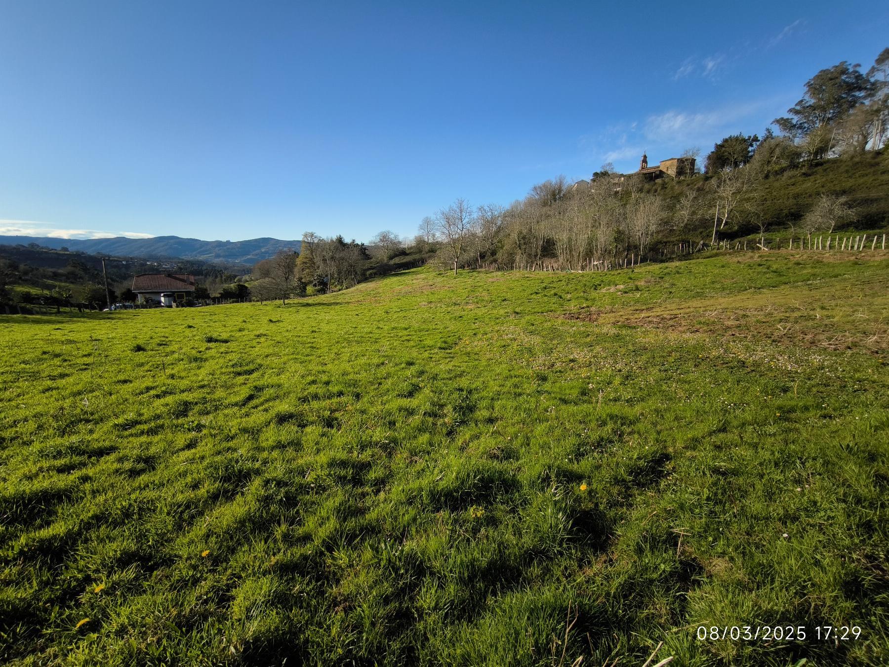 Venta de terreno en Villaviciosa