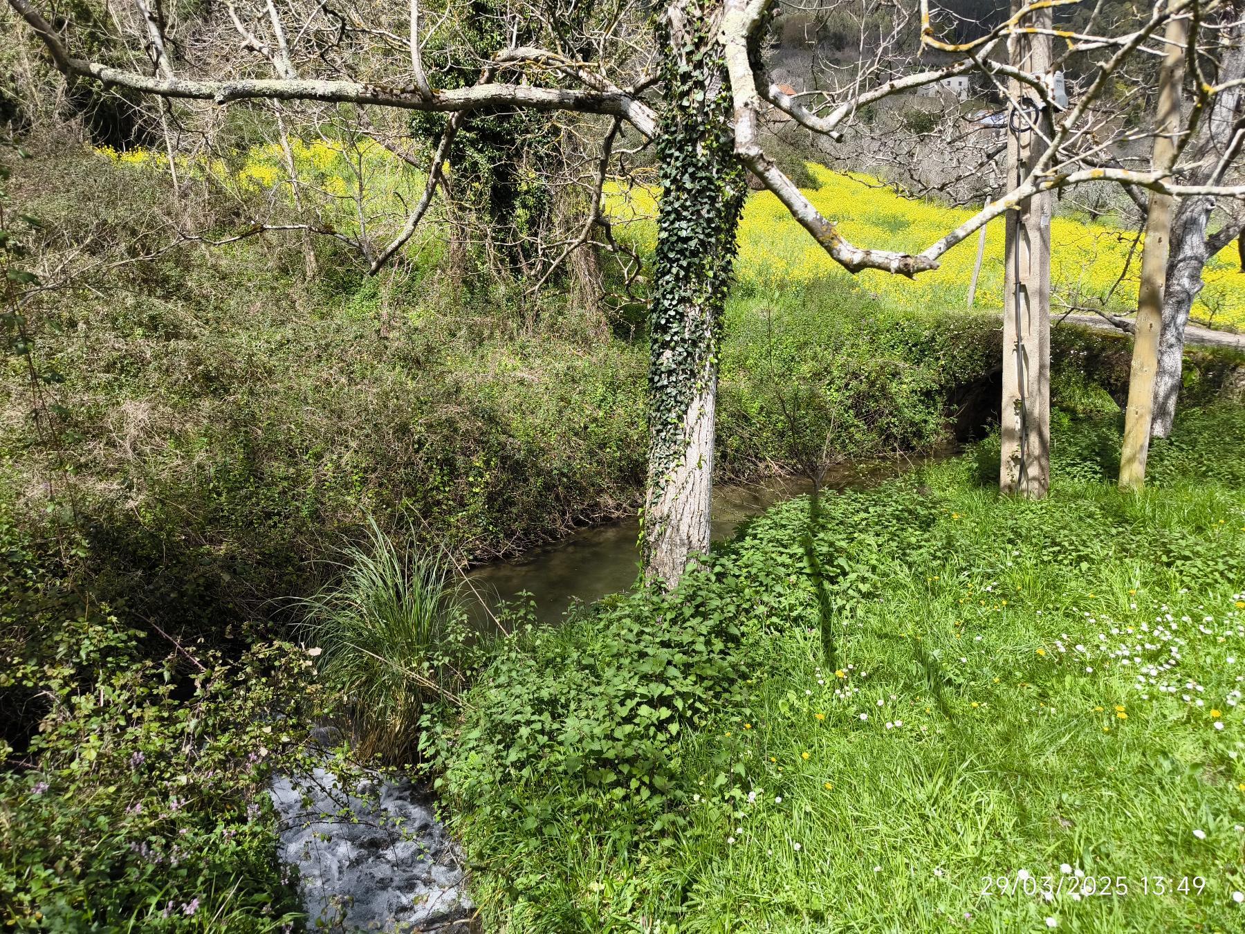 For sale of house in Villaviciosa