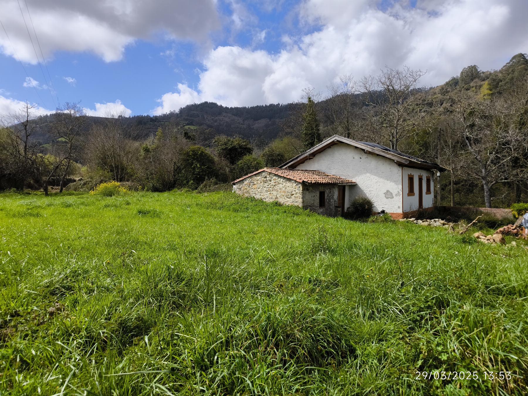 For sale of house in Villaviciosa