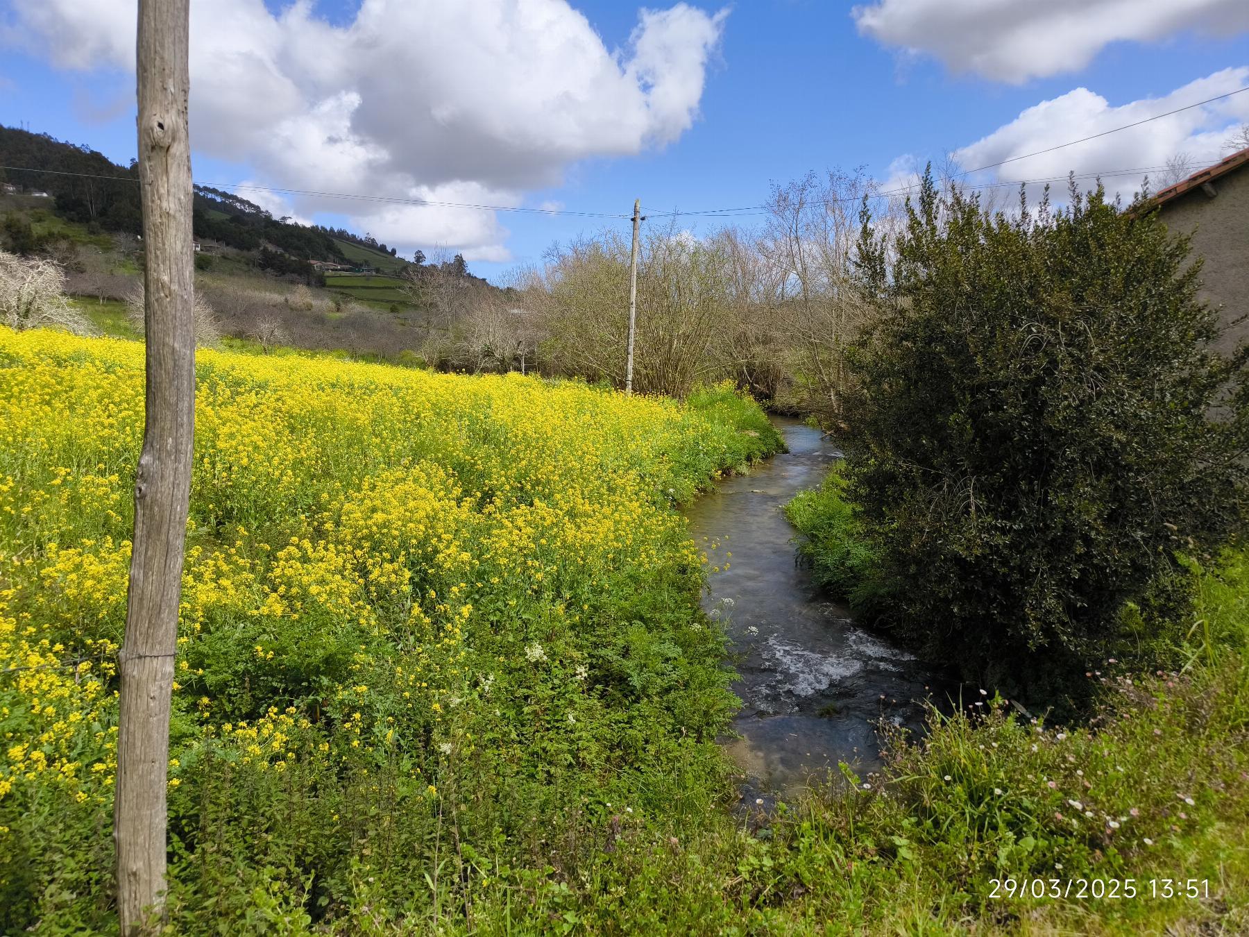 For sale of house in Villaviciosa