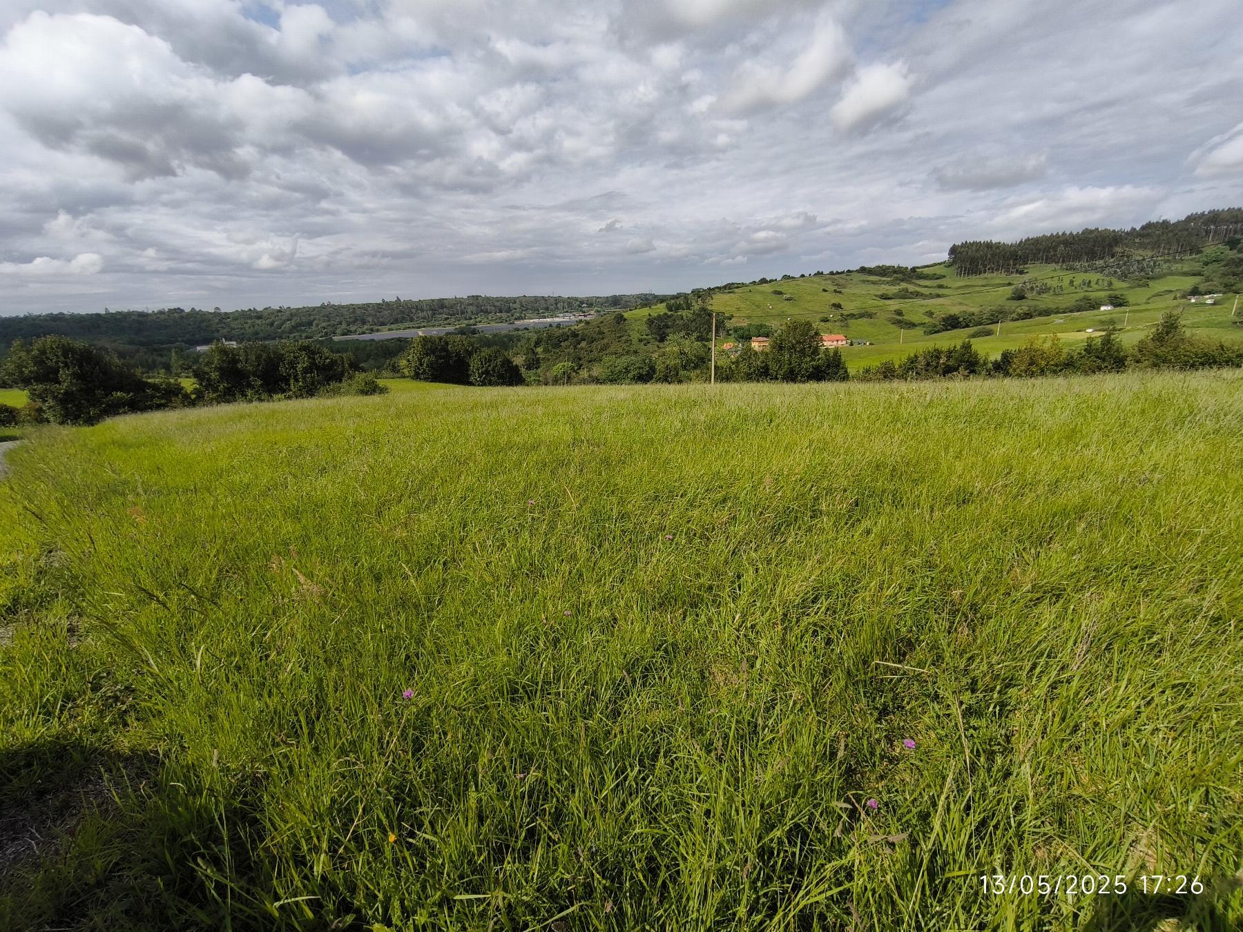 Venta de finca de recreo en Corvera
