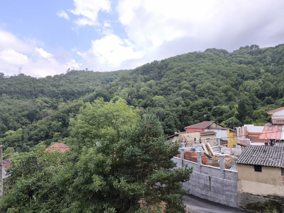 Vistas