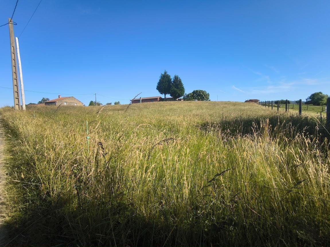Venta de terreno en Villaviciosa