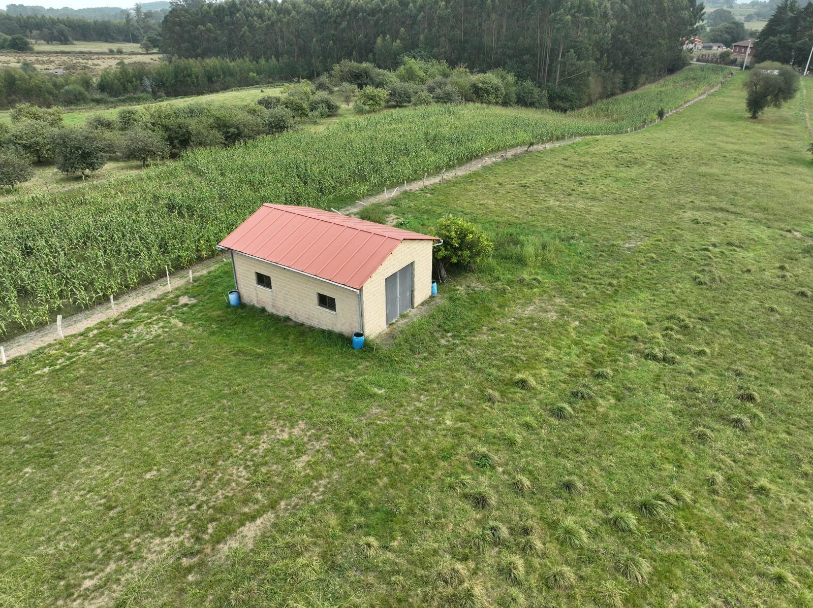 Venta de nave en Villaviciosa