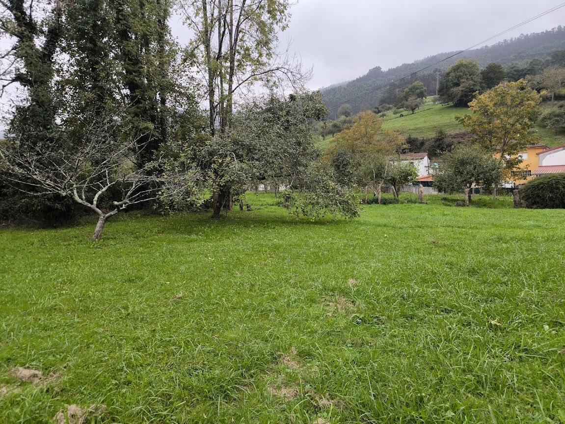 Venta de finca de recreo en Villaviciosa