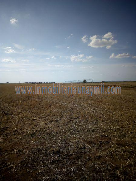 For sale of land in Calzada de Valdunciel