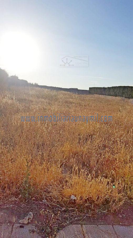 For sale of land in Aldeatejada