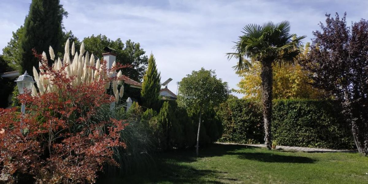 Jardín Jardín