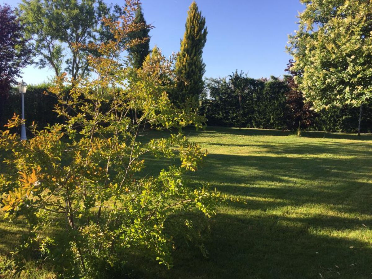 Jardín Jardín