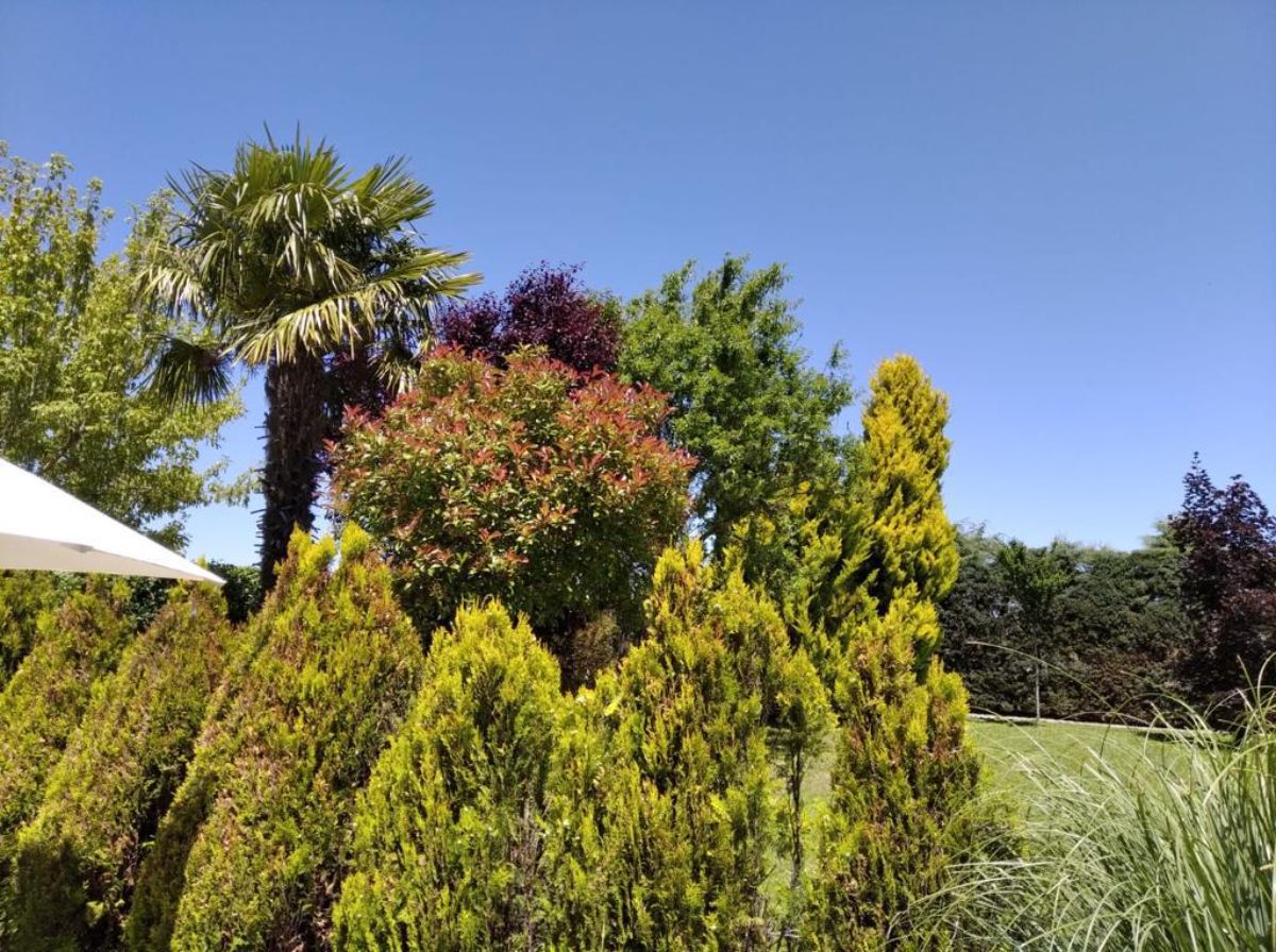 Jardín Jardín