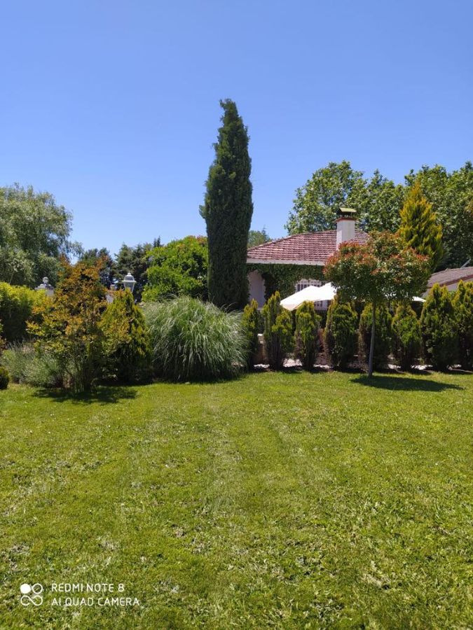 Jardín Jardín