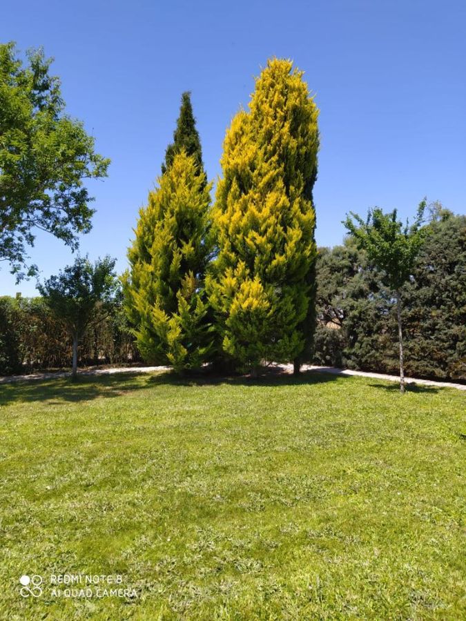 Jardín Jardín
