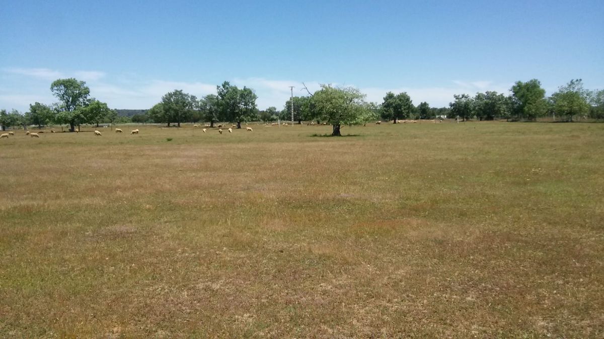 For sale of hotel in Sancti-Spíritus