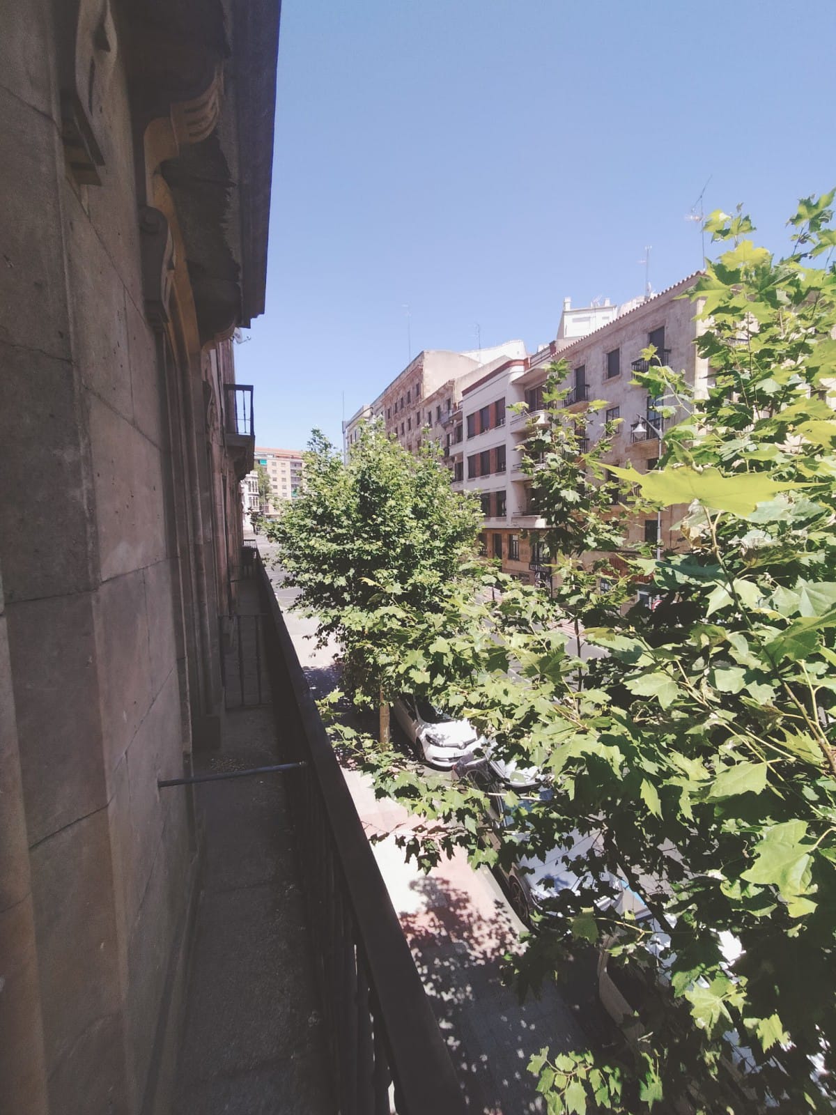 Vistas