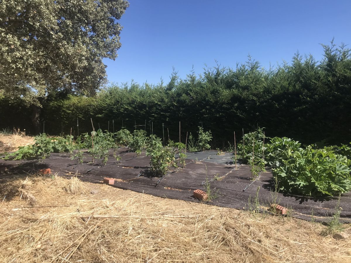 Terreno Terreno
