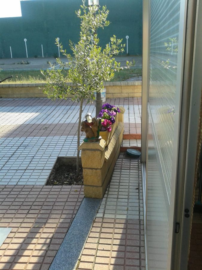 Detalles Detalles