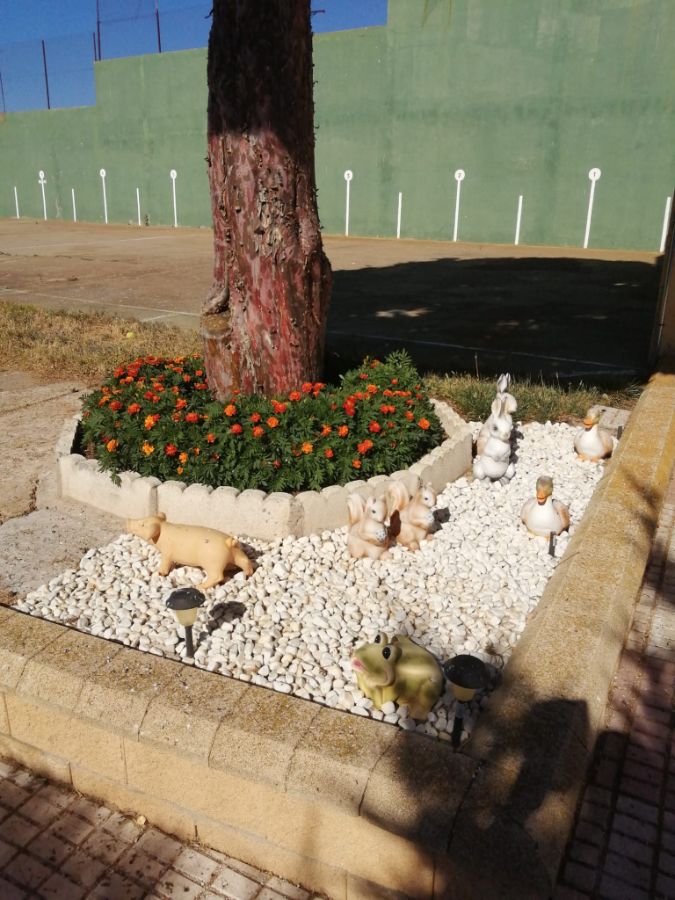 Detalles Detalles