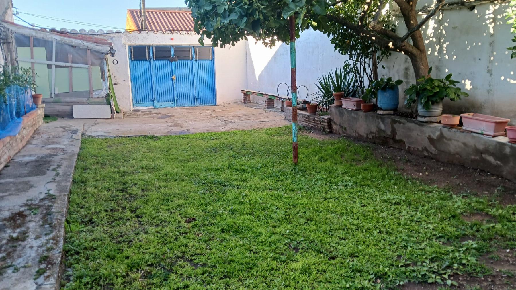 Ground