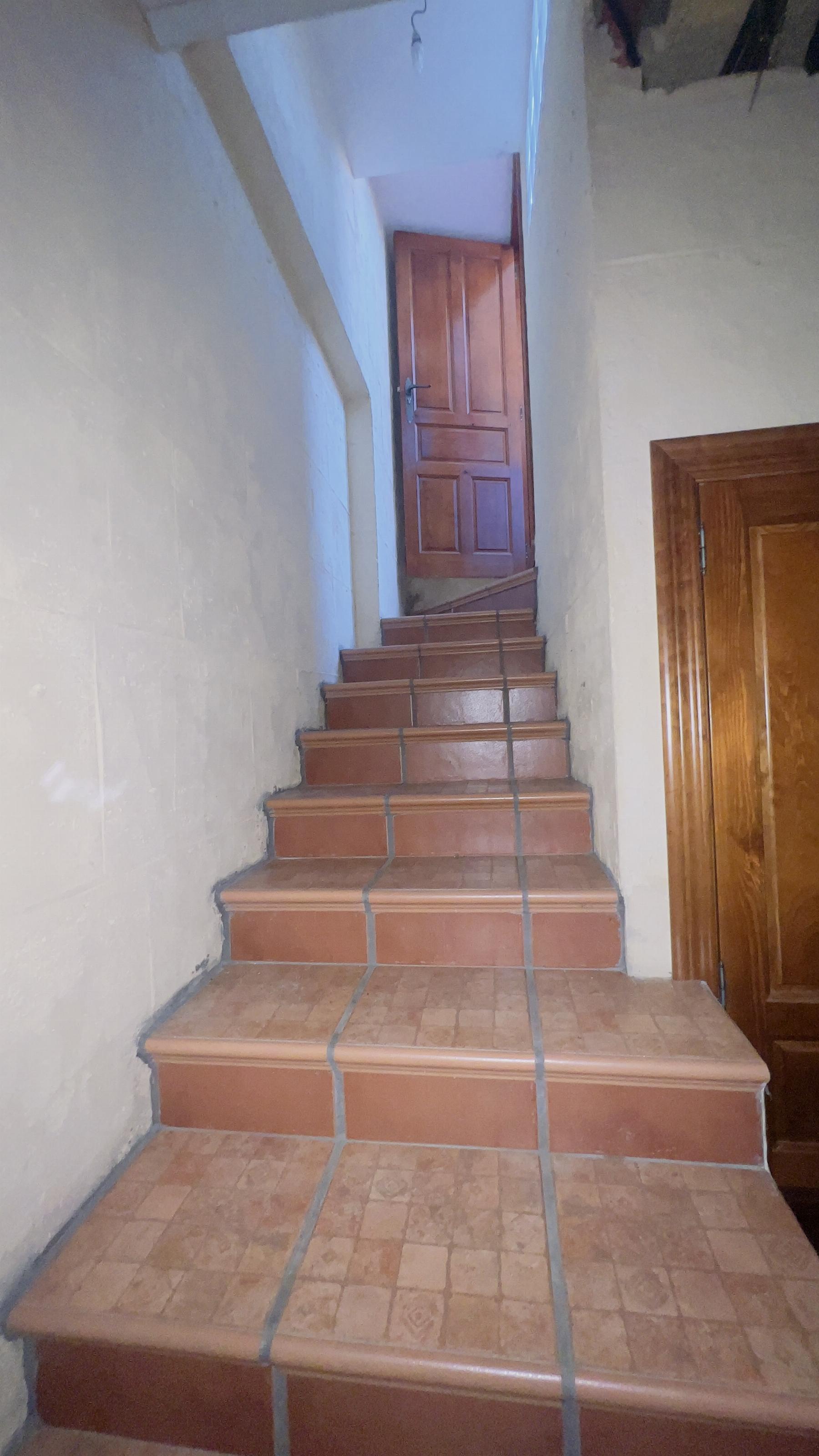Cellar