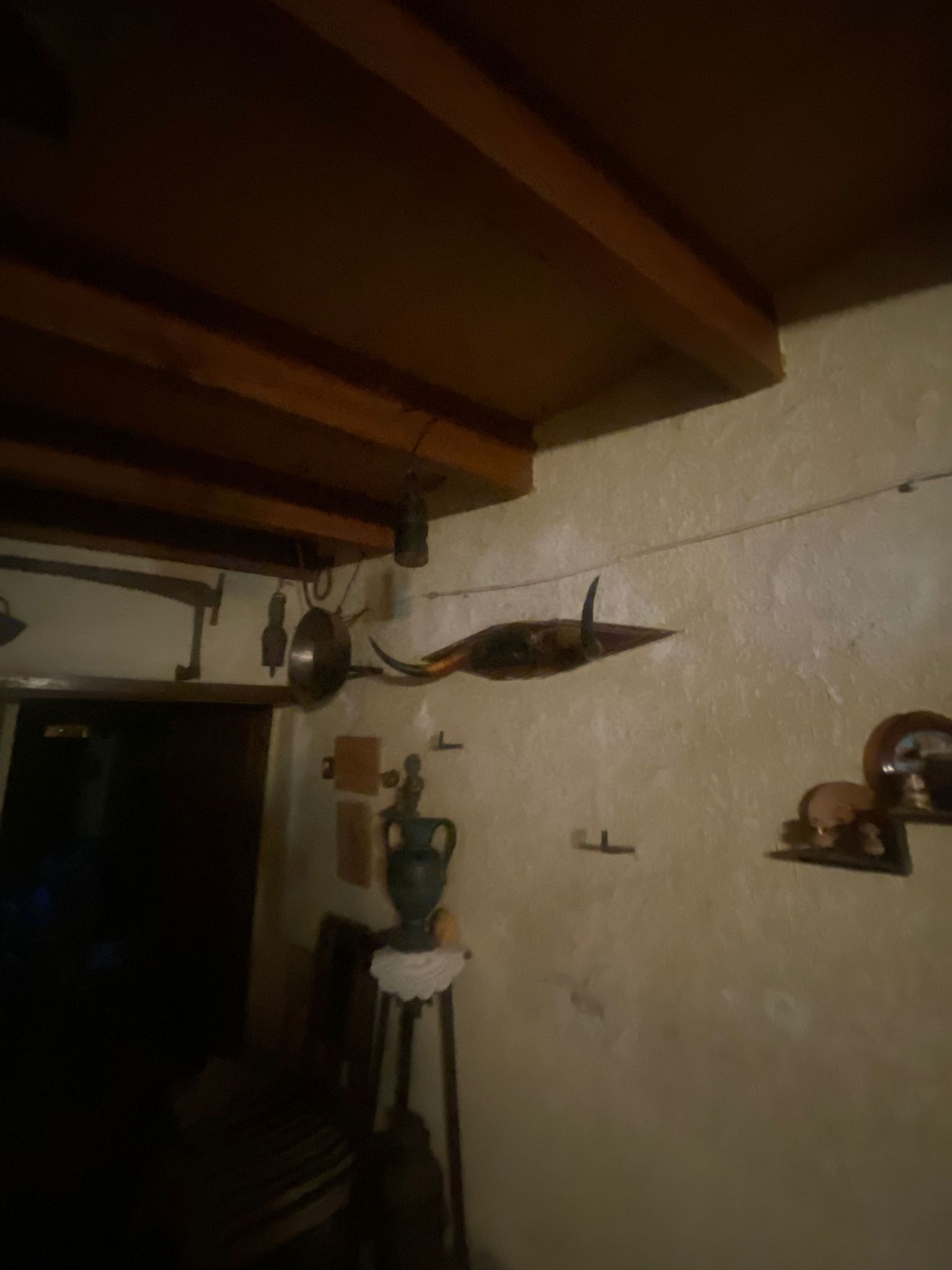 For sale of house in La Maya