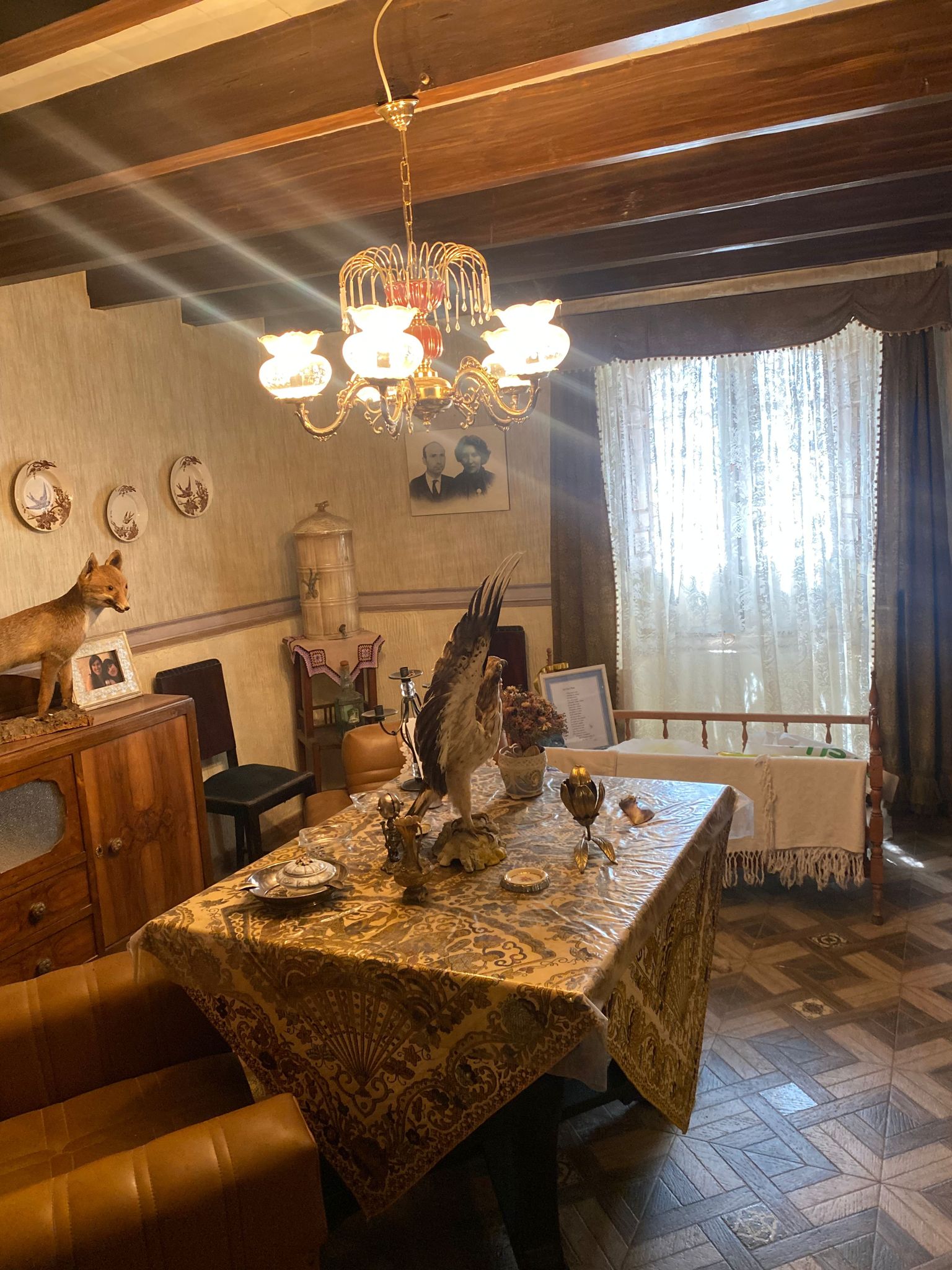 For sale of house in La Maya
