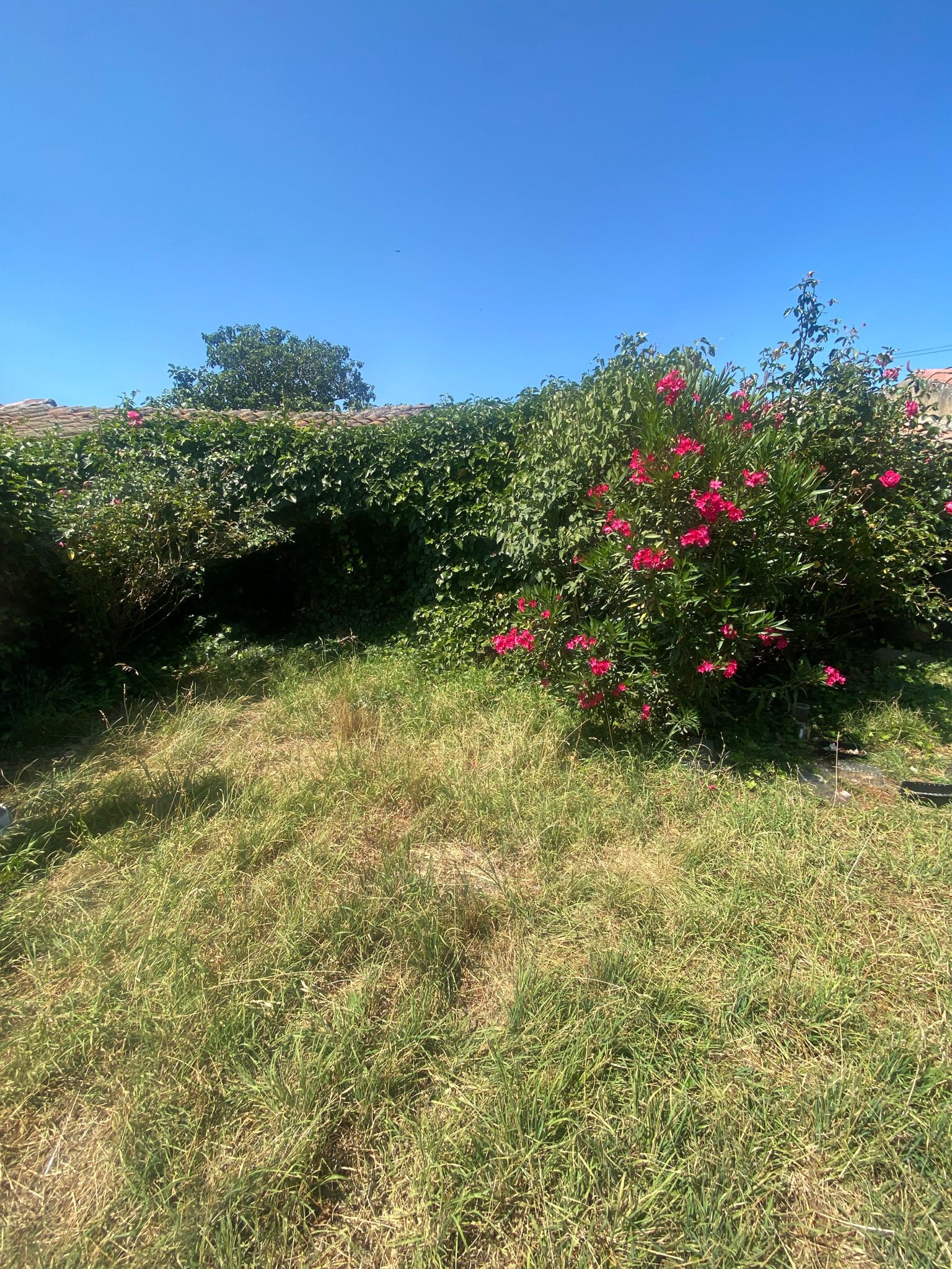 For sale of house in La Maya