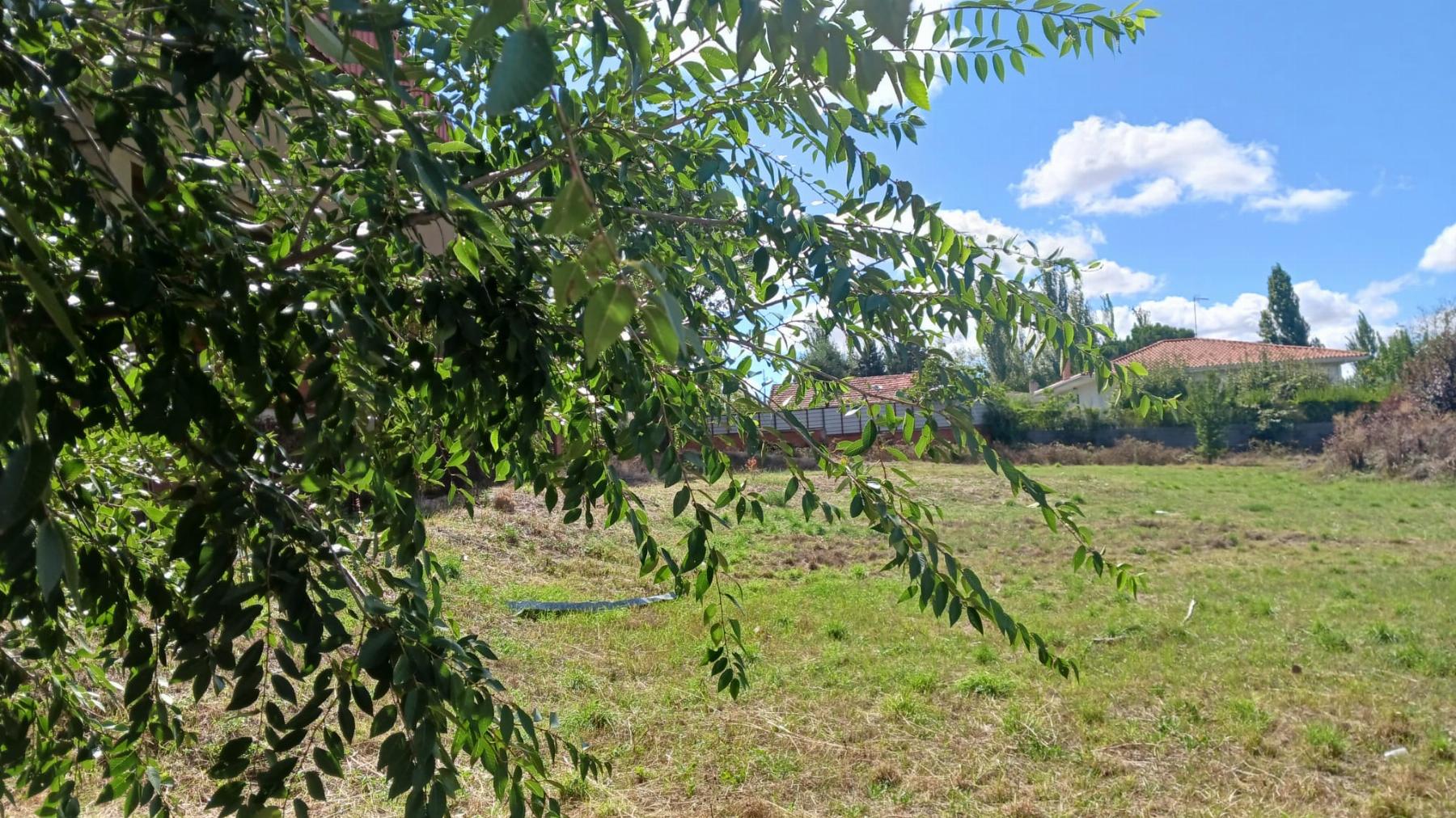For sale of land in Santa Marta de Tormes