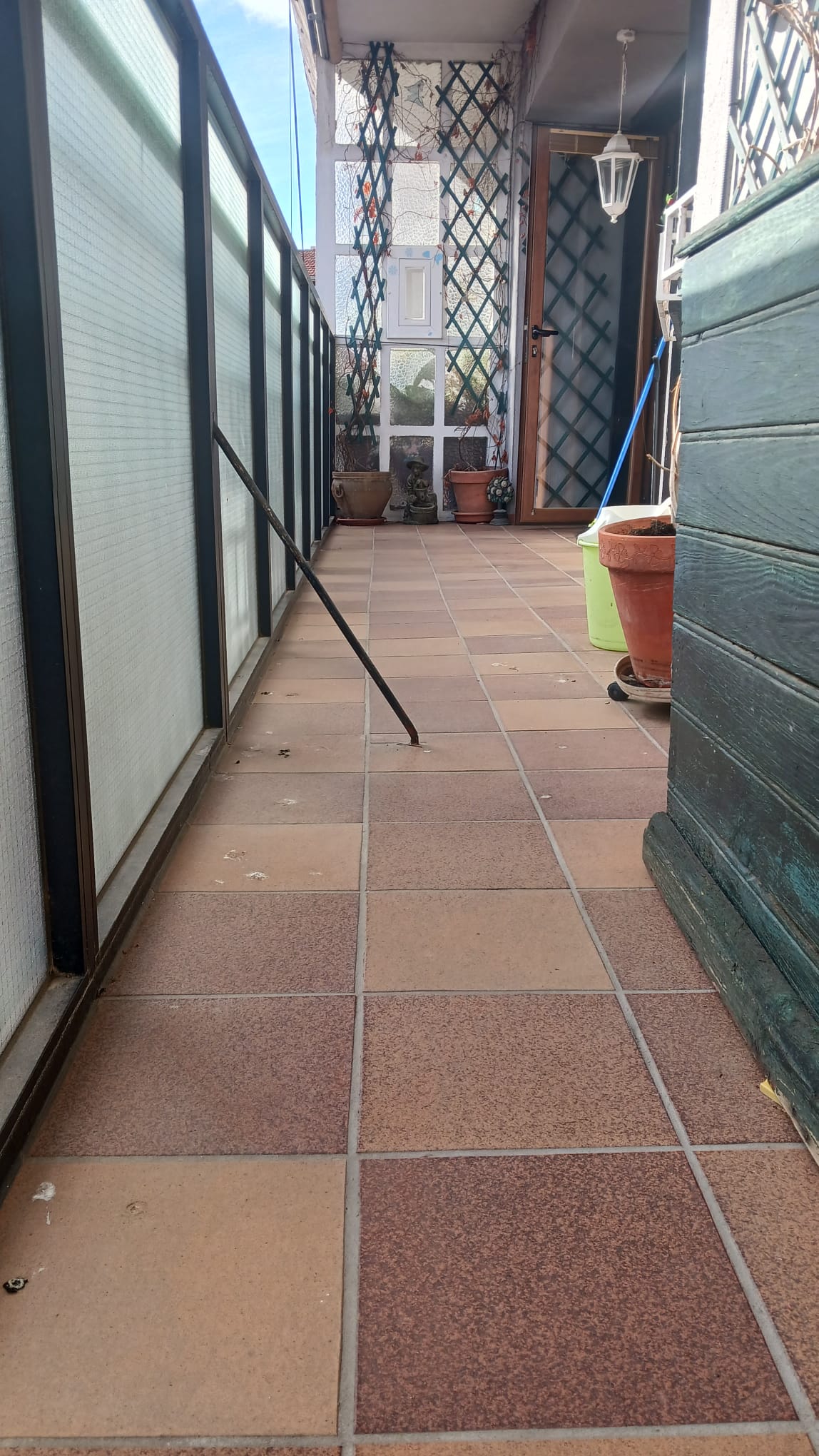 Terraza
