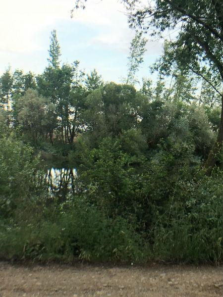 For sale of land in Aldealengua
