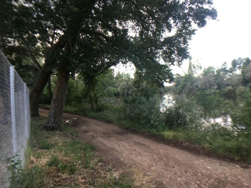 For sale of land in Aldealengua