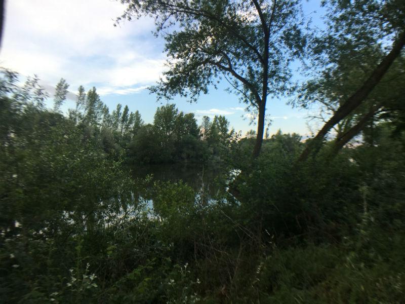 For sale of land in Aldealengua