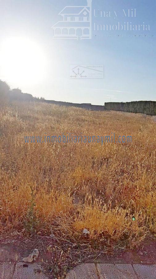 For sale of land in Aldeatejada