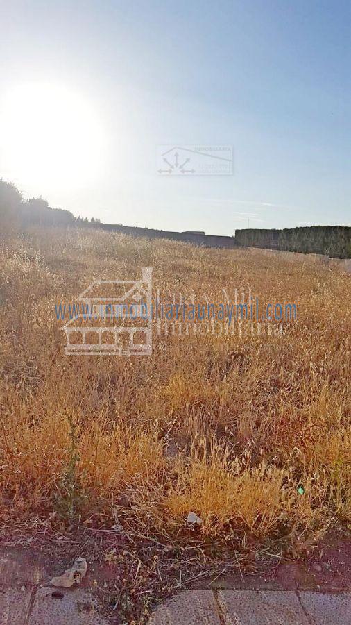 For sale of land in Aldeatejada