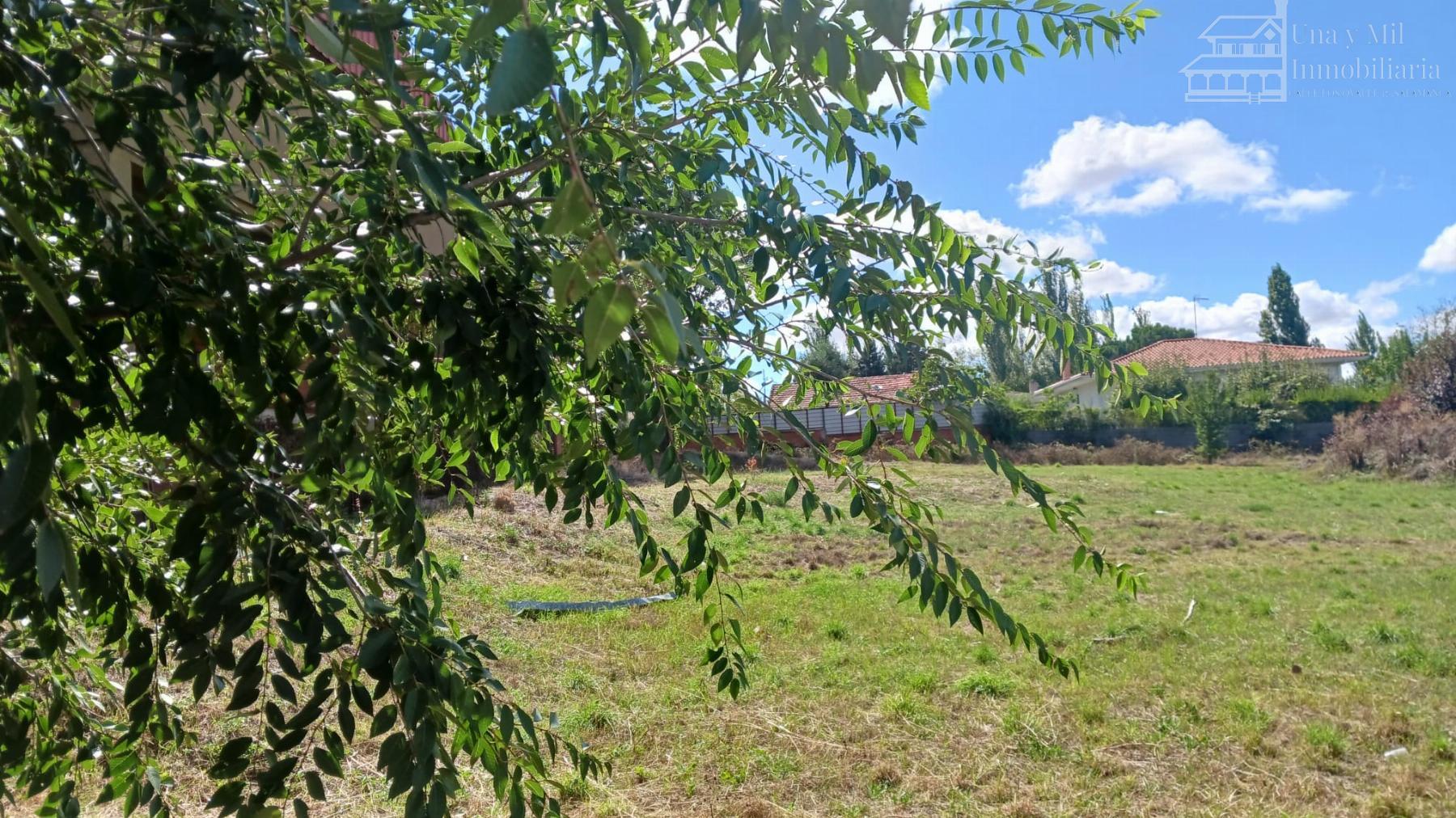For sale of land in Santa Marta de Tormes