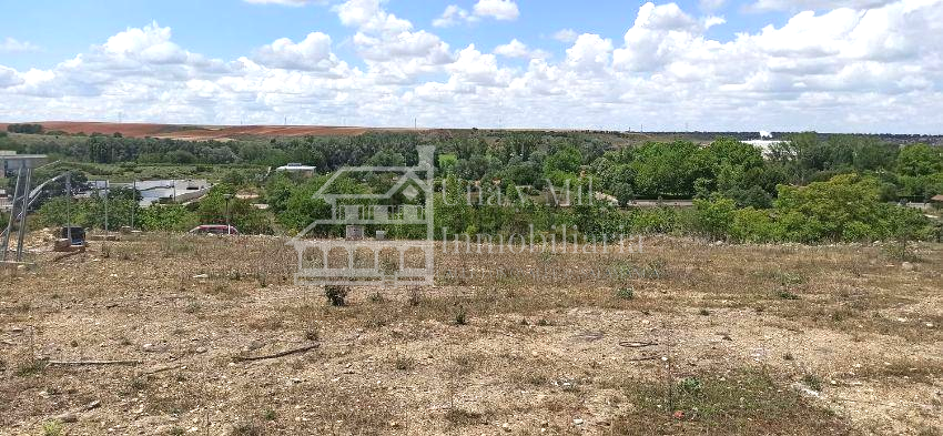 For sale of land in Villamayor