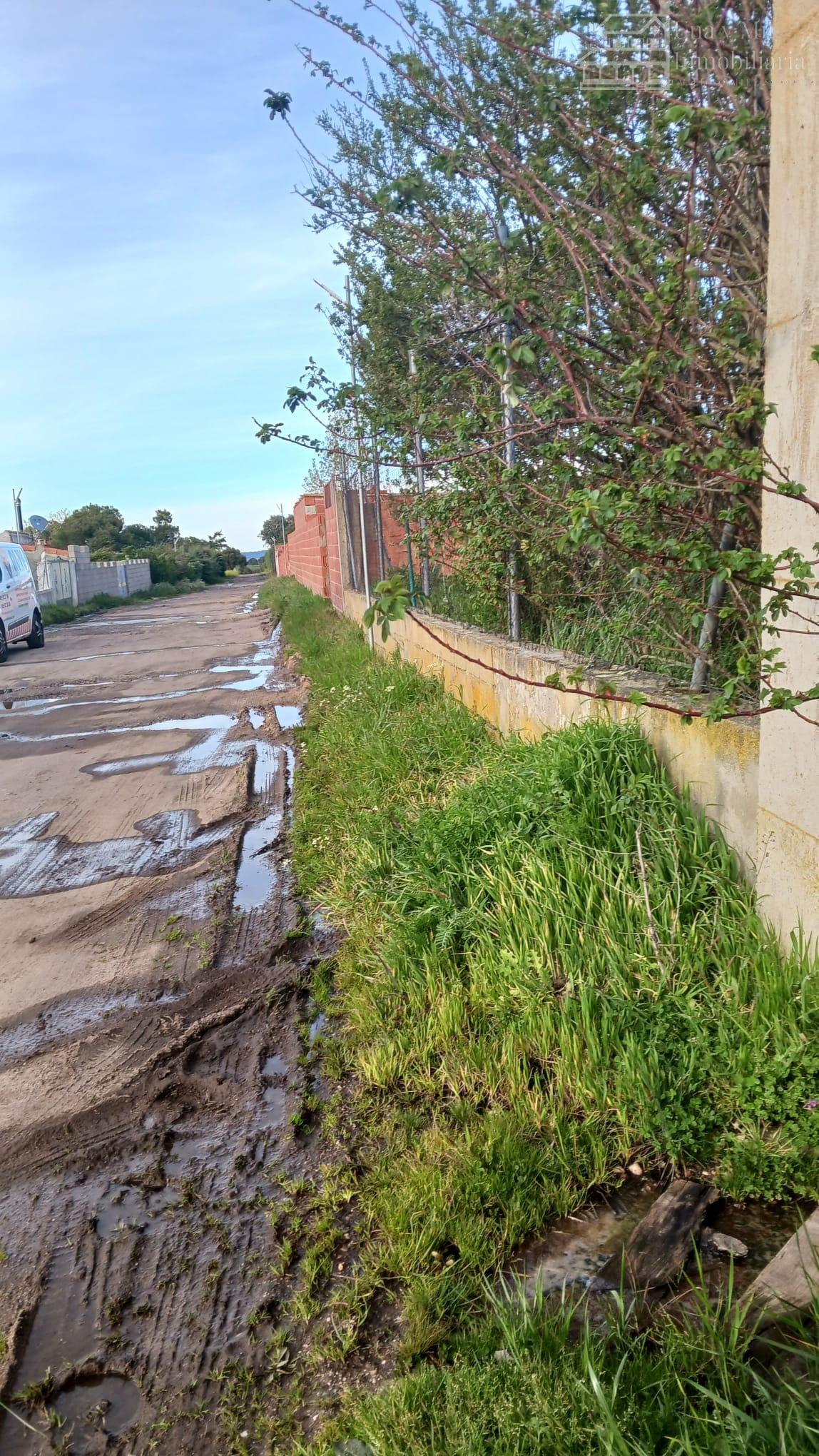 For sale of land in Calvarrasa de Arriba