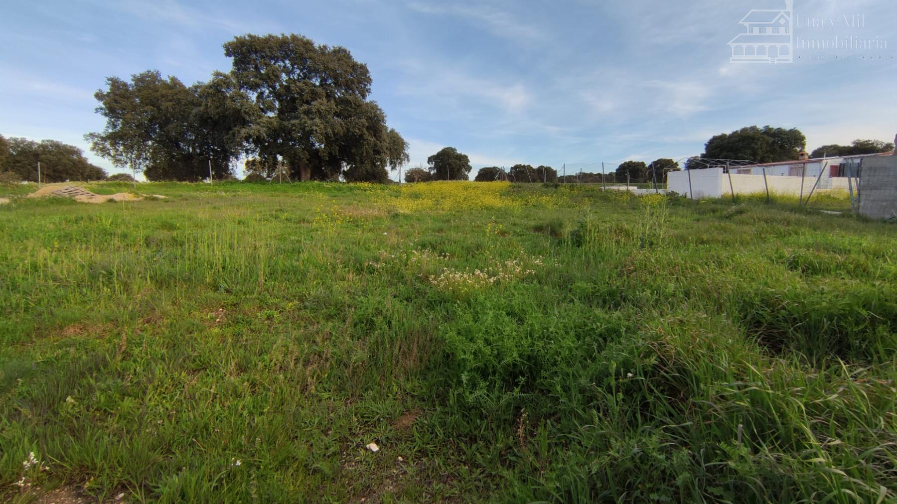 For sale of land in Calvarrasa de Arriba