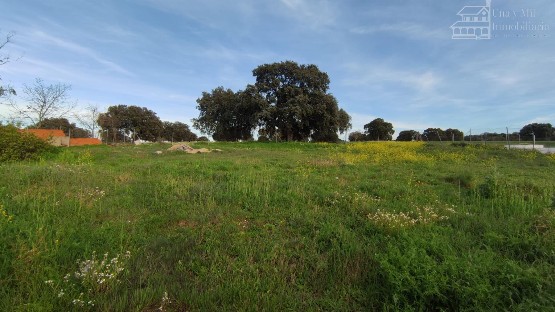 Venta de terreno en Calvarrasa de Arriba