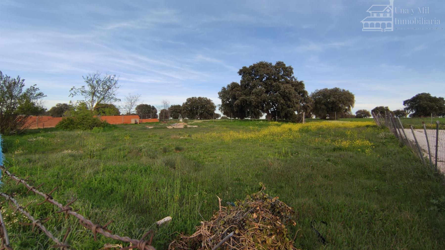 For sale of land in Calvarrasa de Arriba