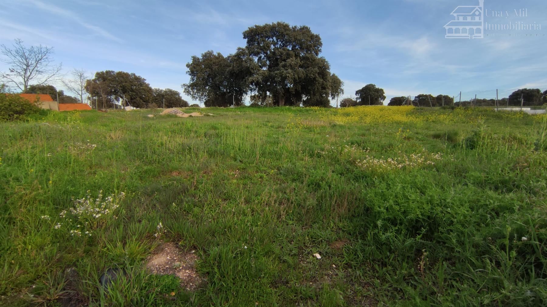 For sale of land in Calvarrasa de Arriba