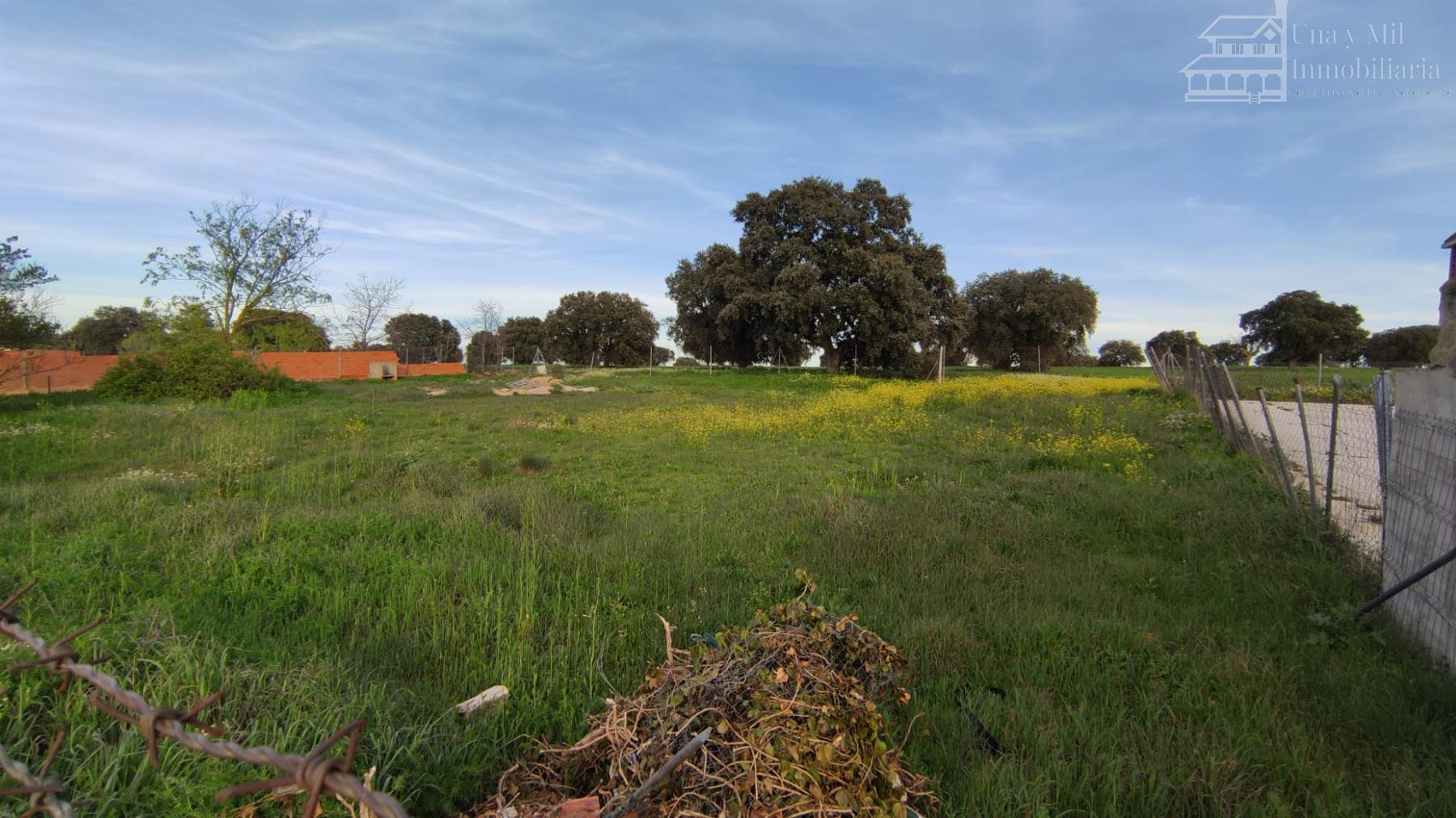 For sale of land in Calvarrasa de Arriba