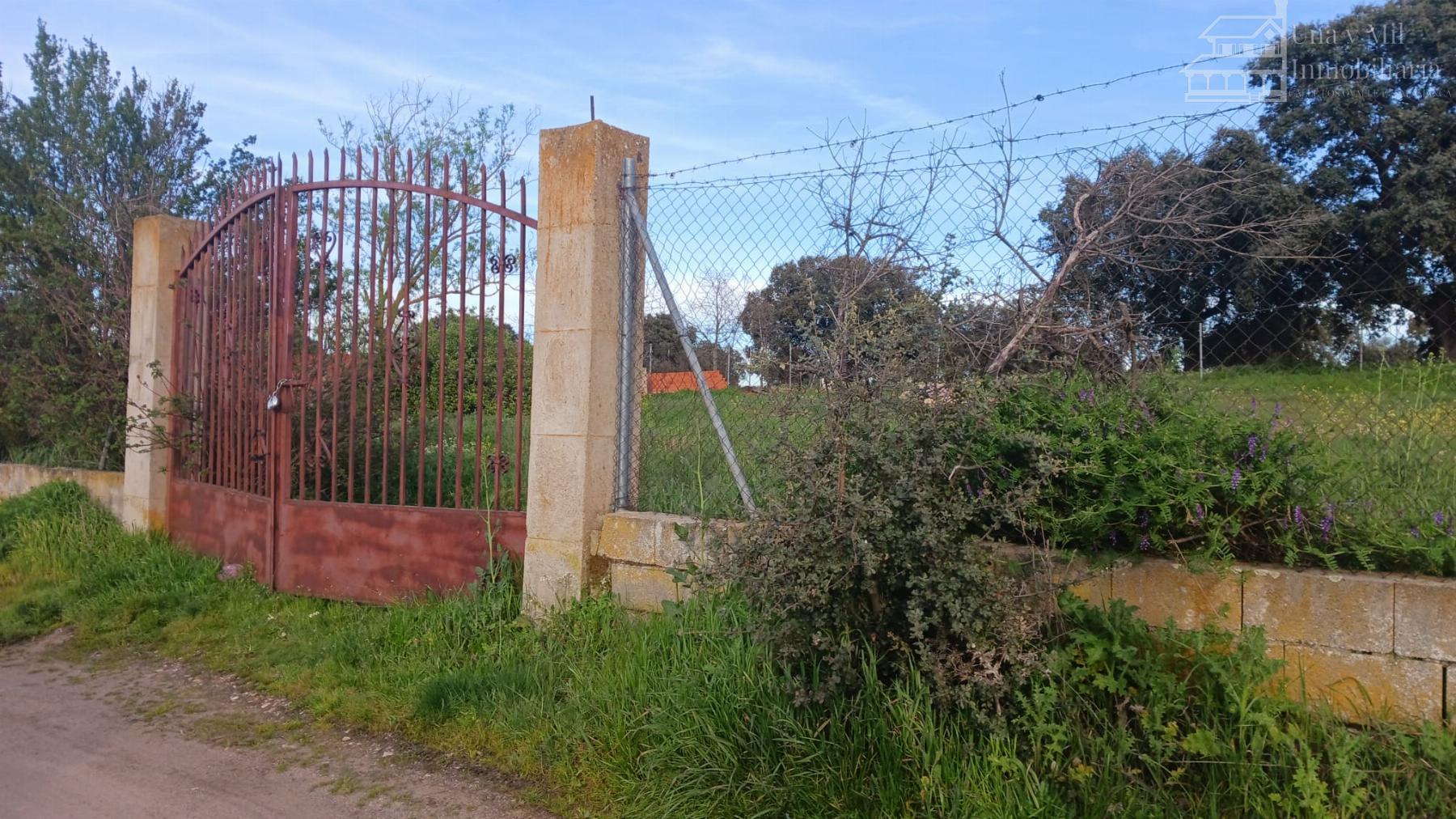 For sale of land in Calvarrasa de Arriba