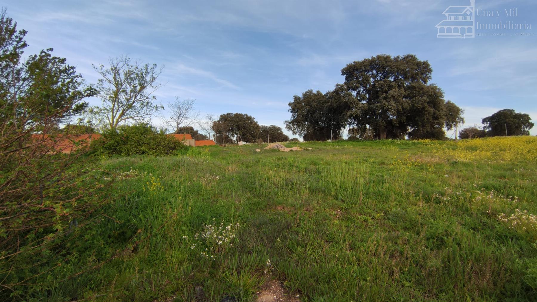 For sale of land in Calvarrasa de Arriba