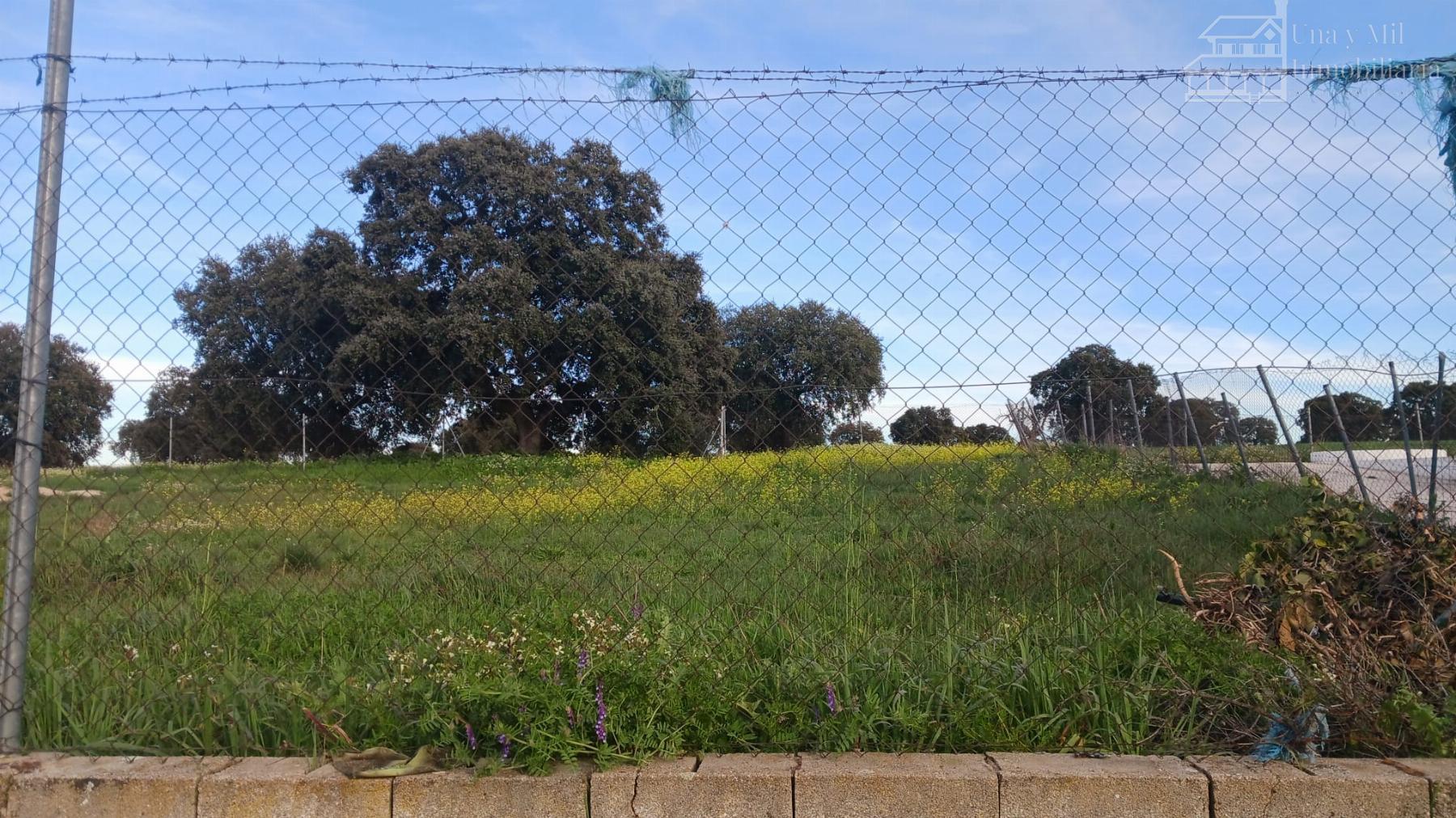 For sale of land in Calvarrasa de Arriba