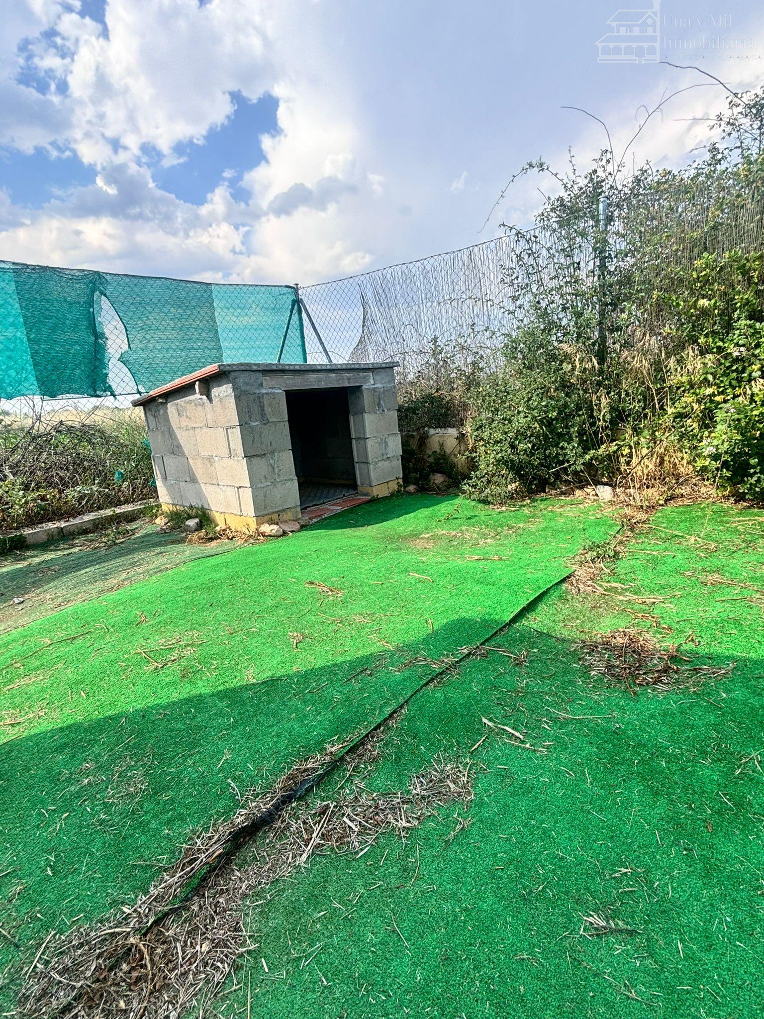 Ground