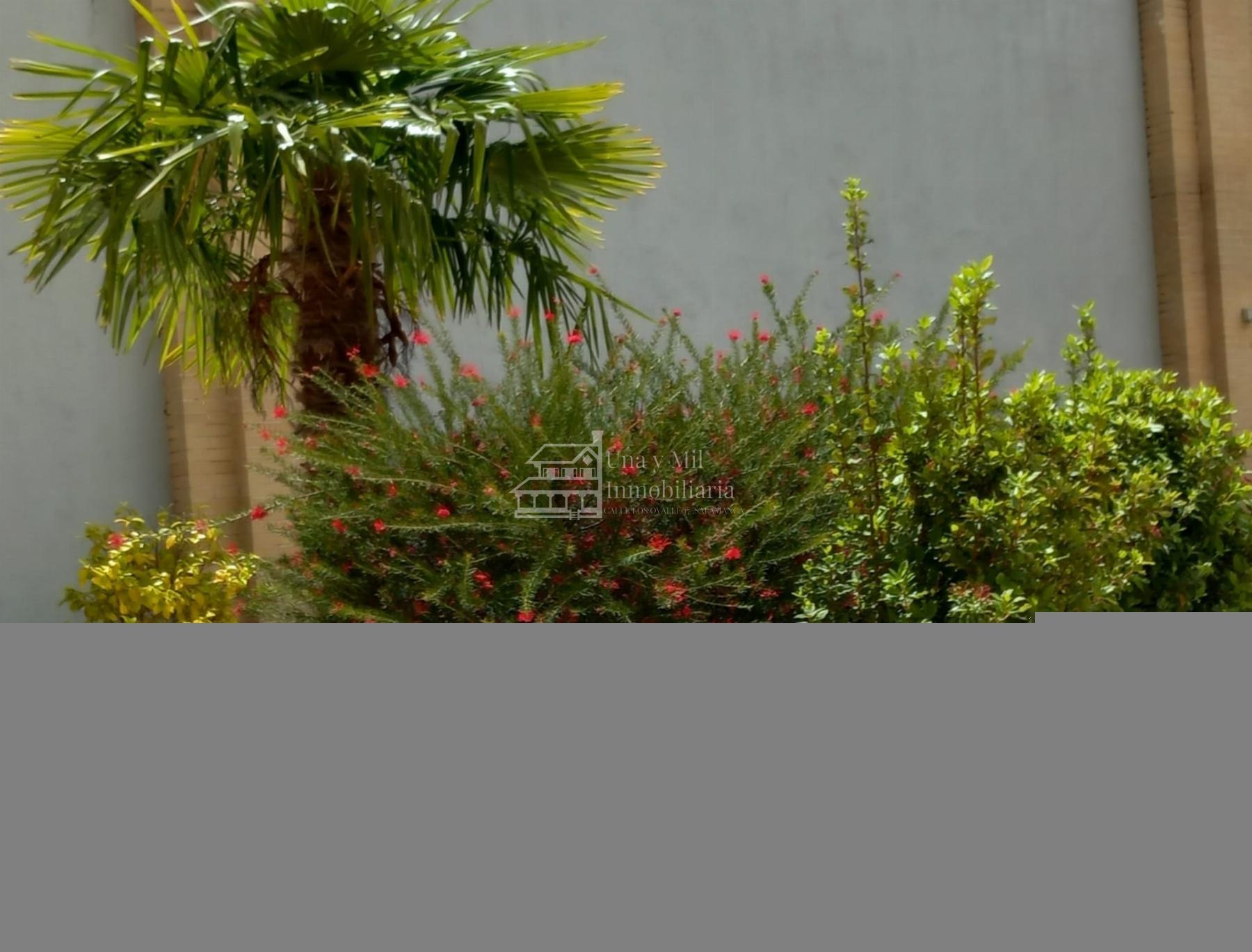 For rent of flat in Salamanca
